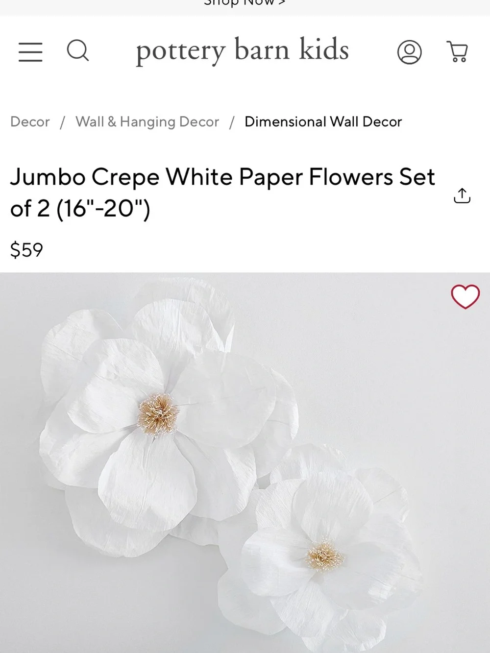 Pottery Barn Kids Crepe Flower Wall Set